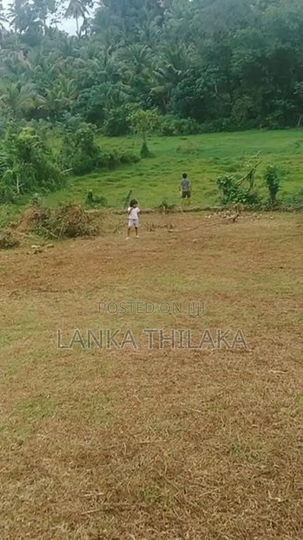 Land for sale in hirana