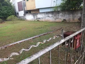 18 Perch Prime Land for Sale – Piliyandala
