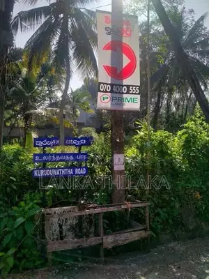 Land for sale in hirana
