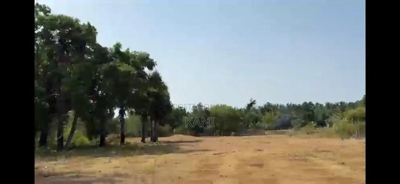 land for sale near ariviyalnagar university Kilinochchi
