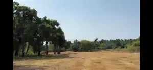land for sale near ariviyalnagar university Kilinochchi