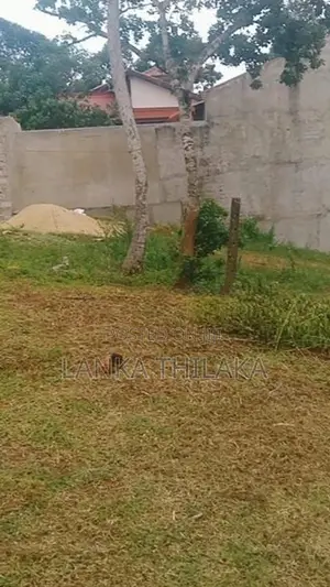 Land for sale in hirana
