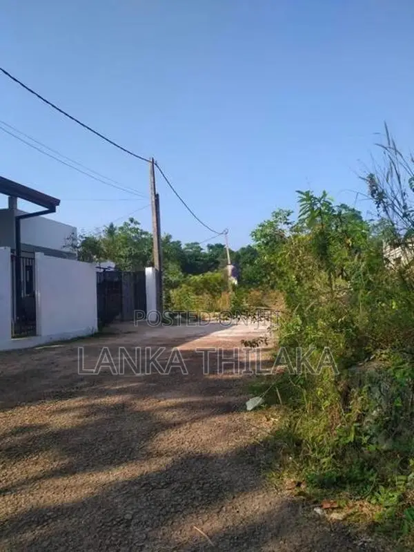 Land for sale in hirana