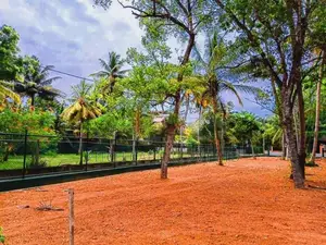 Midigama Beach Side Prime Land For Sale