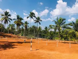 Developed Residential Land for Sale in Pasyala P3