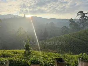 Bungalow for Sale Facing Nature Rozella Ds Hatton