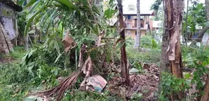 අගනා ඉඩම් විකිණීමට - මුල්ලේරියාව