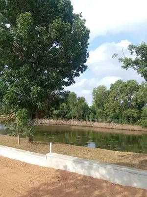 River Facing Land in Nawala