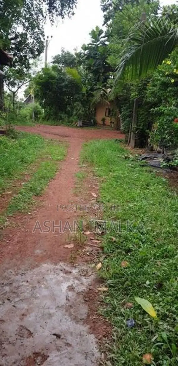 අගනා ඉඩම් විකිණීමට - මුල්ලේරියාව