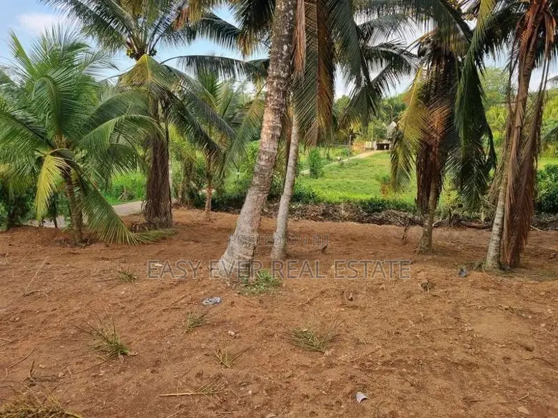 වටිනා පොල් ඉඩමක් විකිණීමට පැපිළියවල / DM 11835
