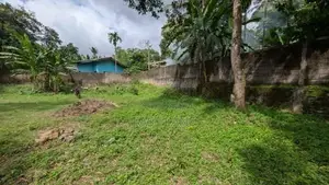 Land for Sale in Makola - CA 14592