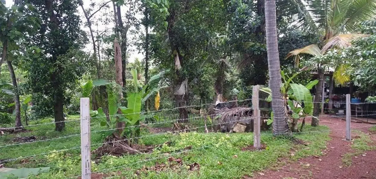 අගනා ඉඩම් විකිණීමට - මුල්ලේරියාව