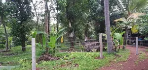අගනා ඉඩම් විකිණීමට - මුල්ලේරියාව