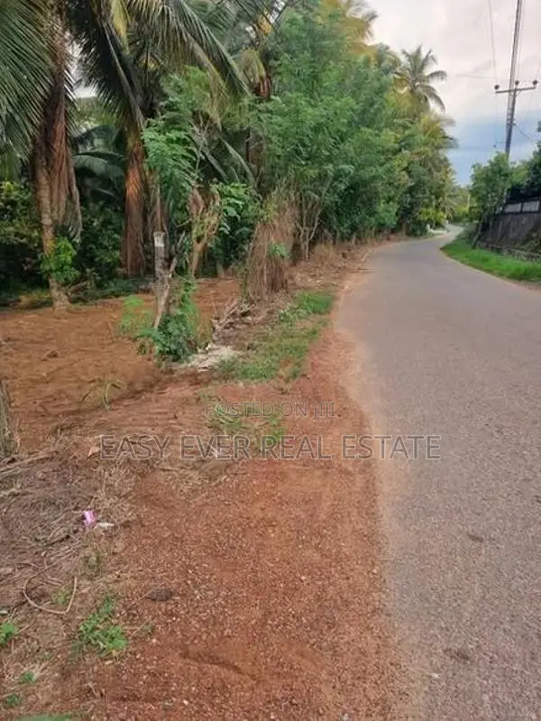 වටිනා පොල් ඉඩමක් විකිණීමට පැපිළියවල / DM 11835