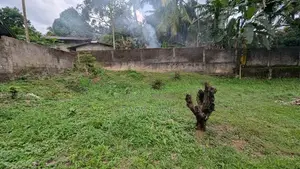 Land for Sale in Makola - CA 14592