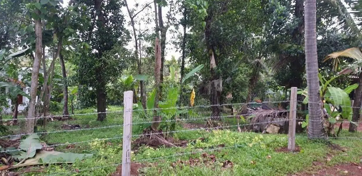 අගනා ඉඩම් විකිණීමට - මුල්ලේරියාව