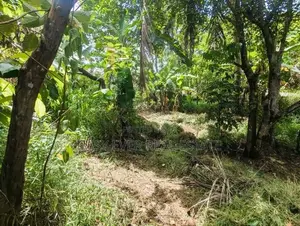 මීරිගම වරකාපොළ ප්‍රධාන පාරට මුහුණලා ඉඩමක් - DU 13174