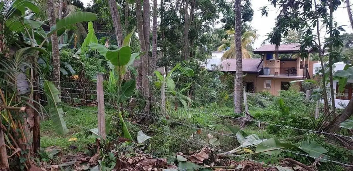 අගනා ඉඩම් විකිණීමට - මුල්ලේරියාව