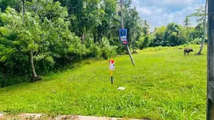 Land in Mellawagedara (Lot No 51)
