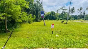 Land in Mellawagedara (Lot No 51)