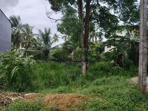 සුපරි පරිසරයක ඉඩමි කෑබෑල්ලක් විකිනිමට