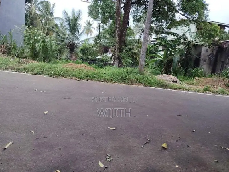 සුපරි පරිසරයක ඉඩමි කෑබෑල්ලක් විකිනිමට