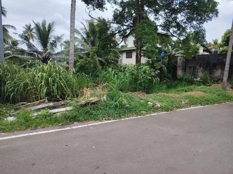 සුපරි පරිසරයක ඉඩමි කෑබෑල්ලක් විකිනිමට