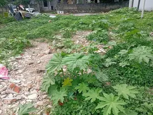 Land for Sale in Attidiya Dehiwela