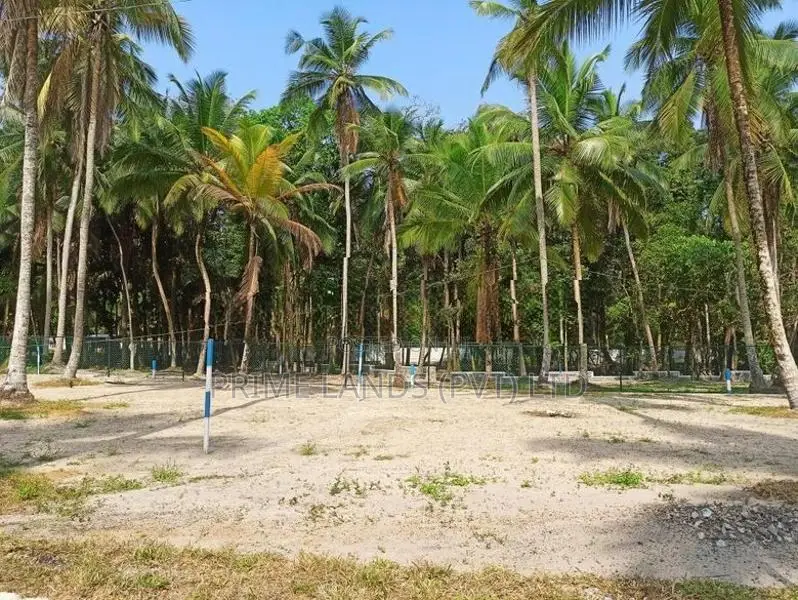 Land for Sale in Yakkala