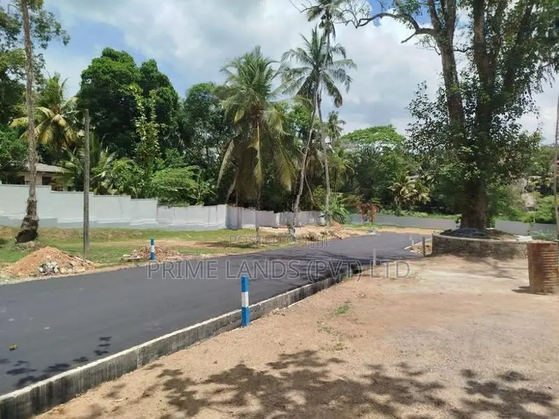 පන්නිපිටිය බිම් කොටසක් විකිණීමට