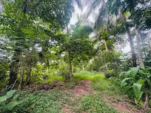 (RL646) 197 Perch Land for Sale in Wadduwa