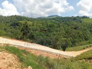 Beautiful Land Sale in Delthota