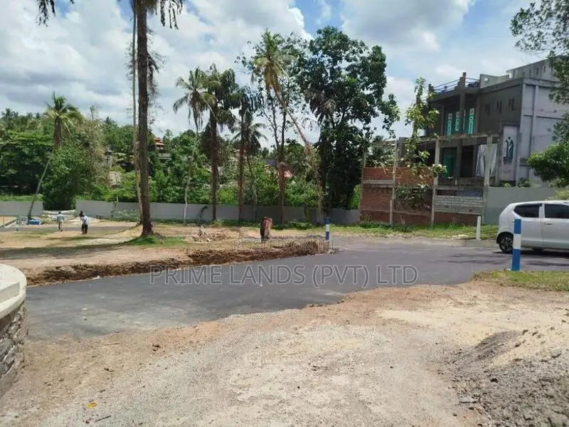 පන්නිපිටිය බිම් කොටසක් විකිණීමට