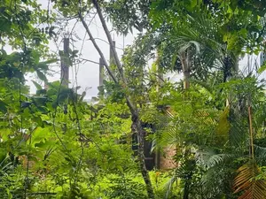 (RL646) 197 Perch Land for Sale in Wadduwa