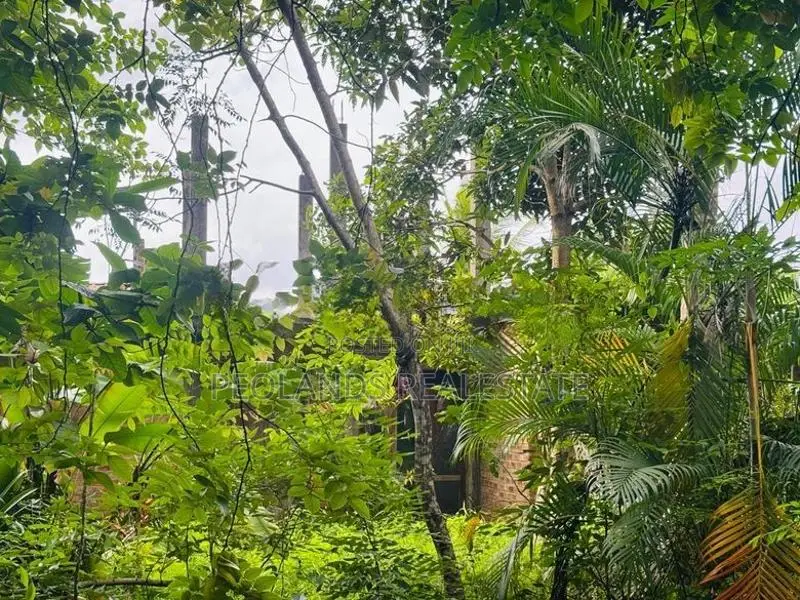 (RL646) 197 Perch Land for Sale in Wadduwa