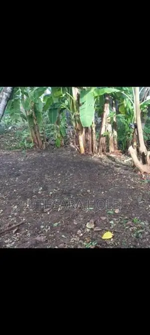 Valuble Land for Sale in Rajagiriya