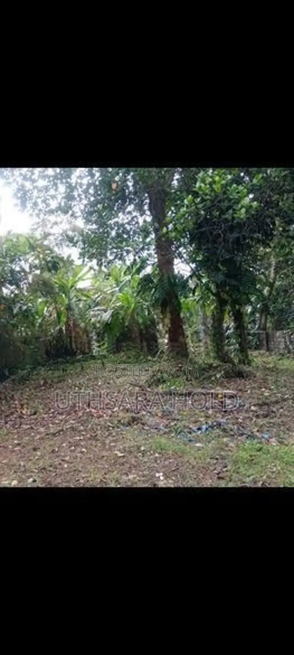 Most Valuable Land for Sale Rajagiriya
