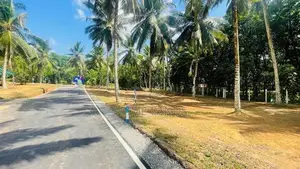 Residential Land for Sale in Matthegoda Jaamgas Handiya