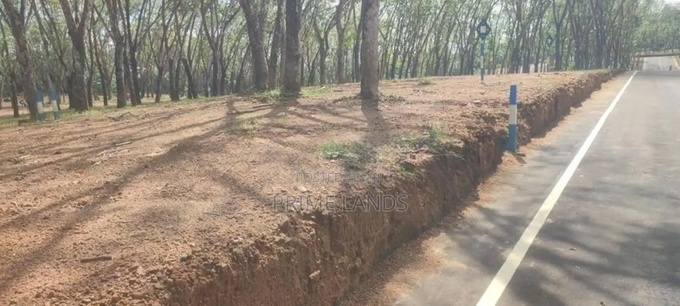 Residential Land for Sale in Homagama Thalagala