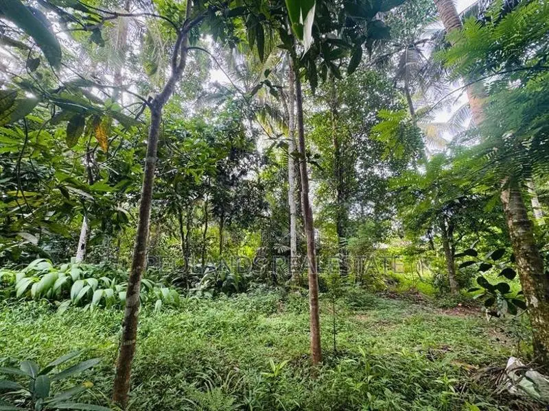 (RL646) 197 Perch Land for Sale in Wadduwa