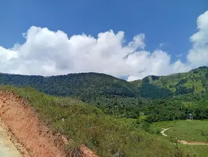 දෙල්තොට නගරයට ආසන්නව බිම් කොටස්