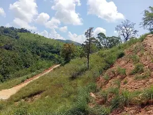 Beautiful Land in Delthota
