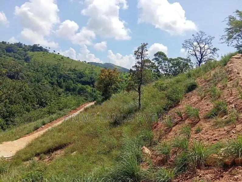 Beautiful Land in Delthota