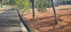 Land for Sale in Pannipitiya