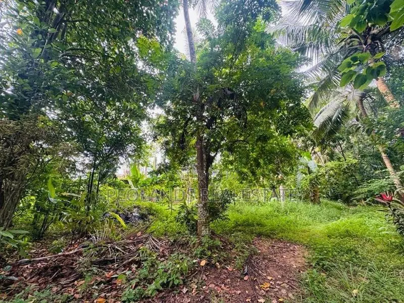 (RL646) 197 Perch Land for Sale in Wadduwa