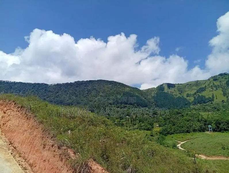 Beautiful Land Sale in Delthota
