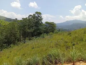 දෙල්තොට නගරට ආසන්නව බිම් කොටස්