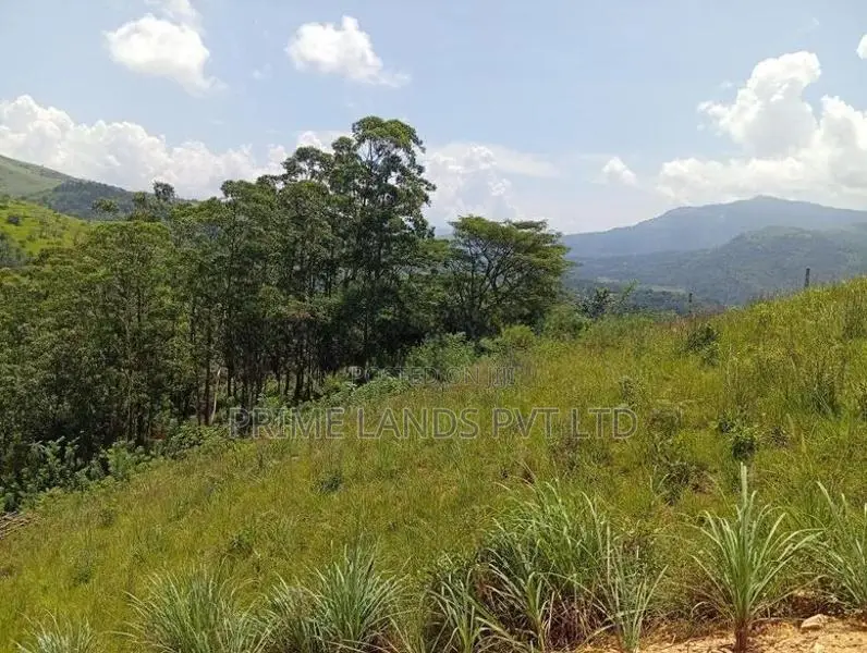දෙල්තොට නගරට ආසන්නව බිම් කොටස්