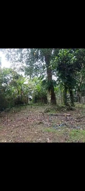 Most Valuable Land for Sale Rajagiriya