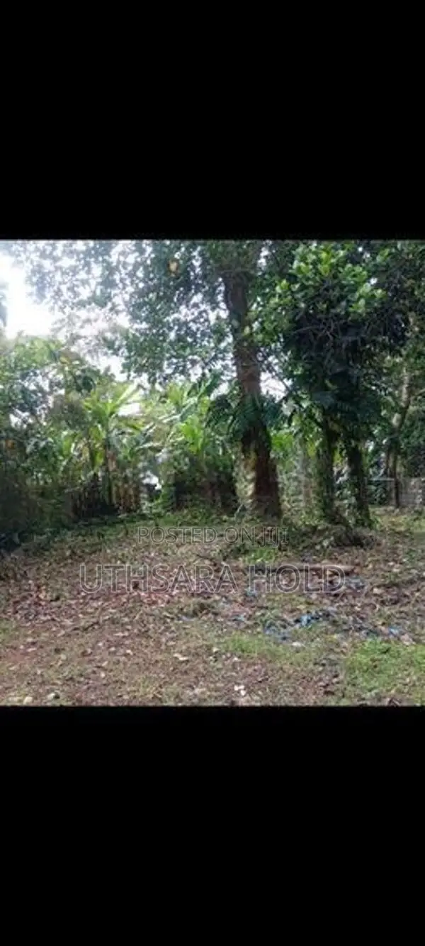Most Valuable Land for Sale Rajagiriya